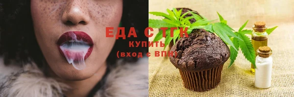 крисы Тайга