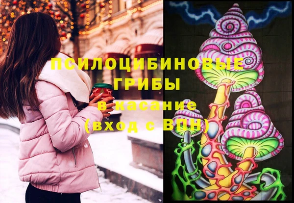 2c-b Верхний Тагил