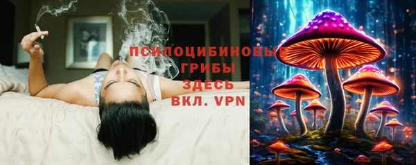 a pvp Богданович
