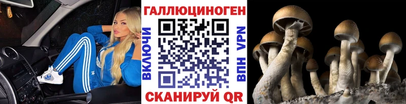 гидра вход  Долинск  Псилоцибиновые грибы Magic Shrooms  купить  